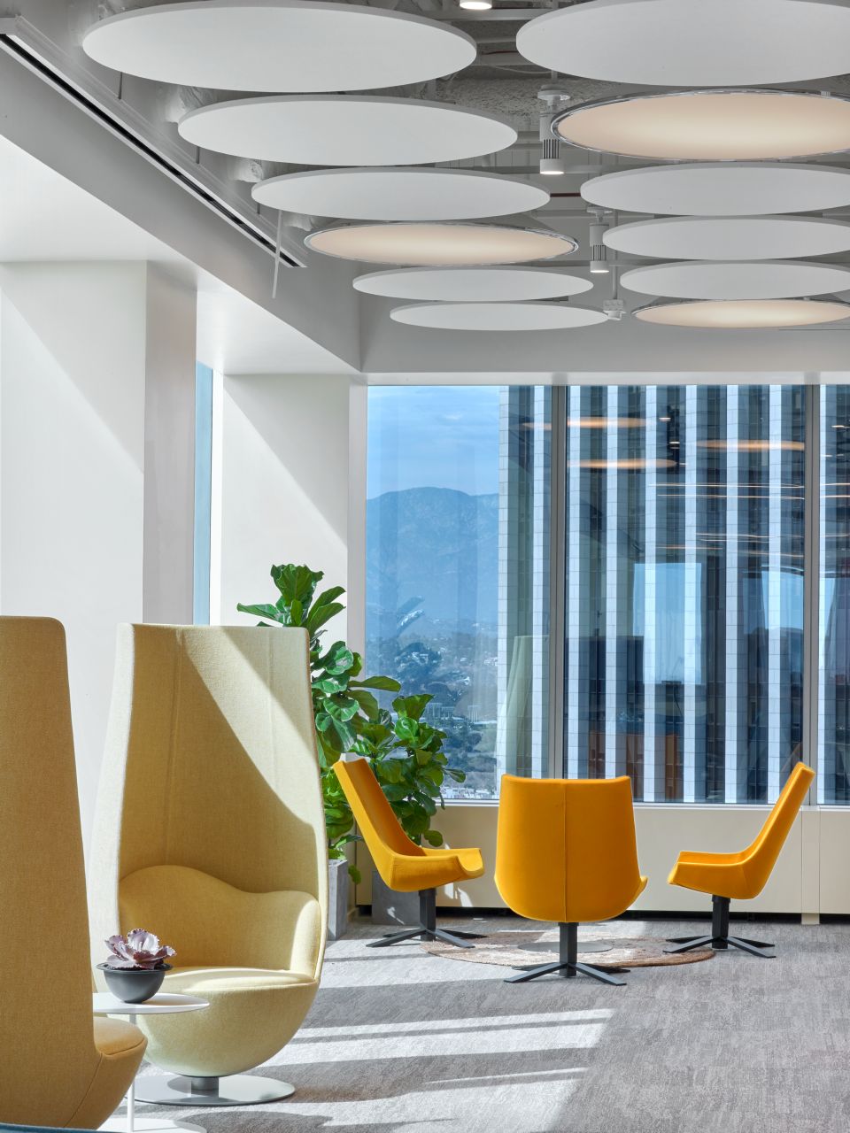 开云手机入口 - 坐具|休闲椅|办公家具|开云中国家具|郁金香