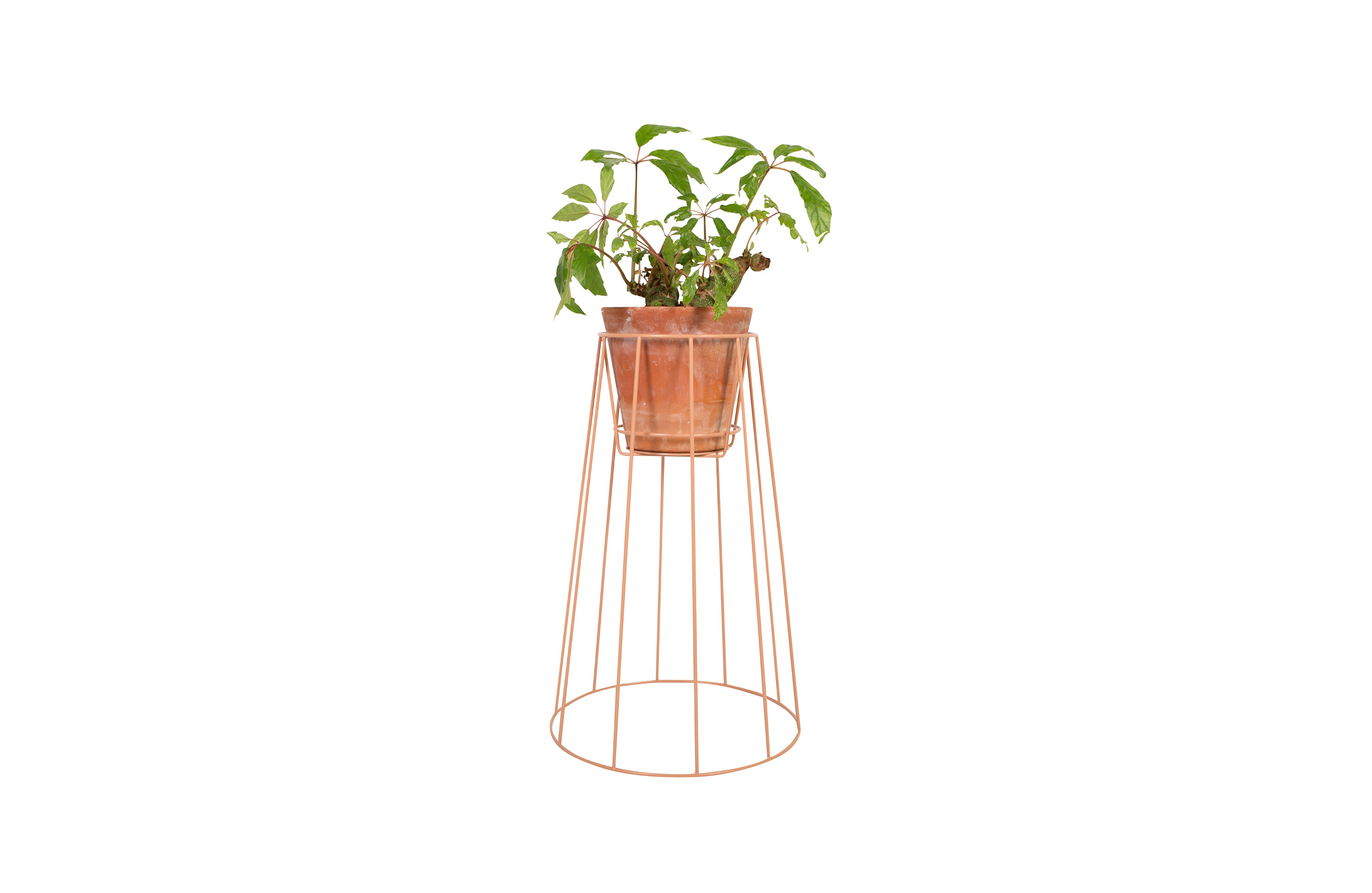 开云手机入口 - 附件|花器|办公家具|开云中国家具|西布莉植物架