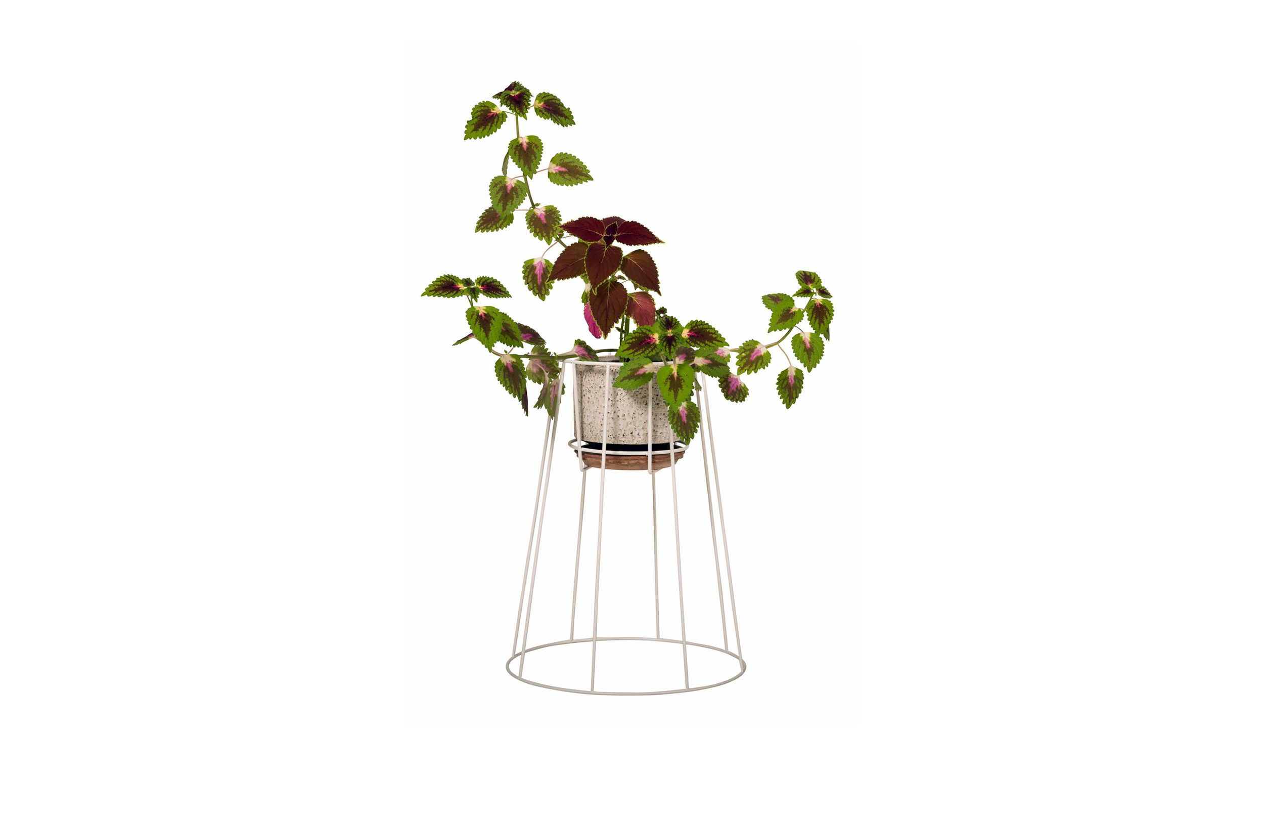 开云手机入口 - 附件|花器|办公家具|开云中国家具|西布莉植物架
