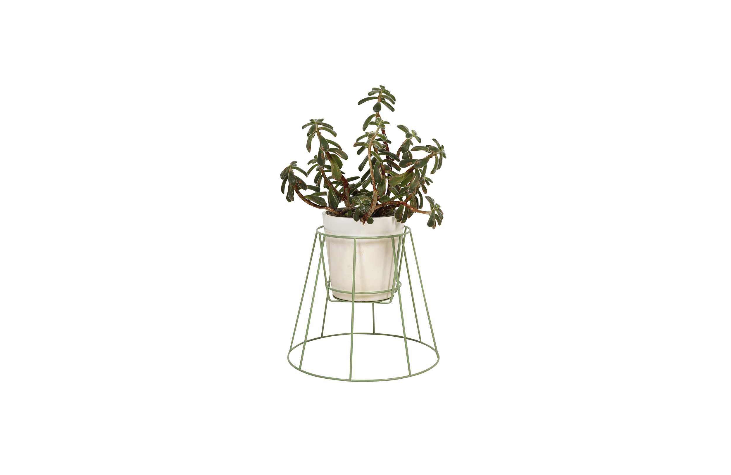 开云手机入口 - 附件|花器|办公家具|开云中国家具|西布莉植物架