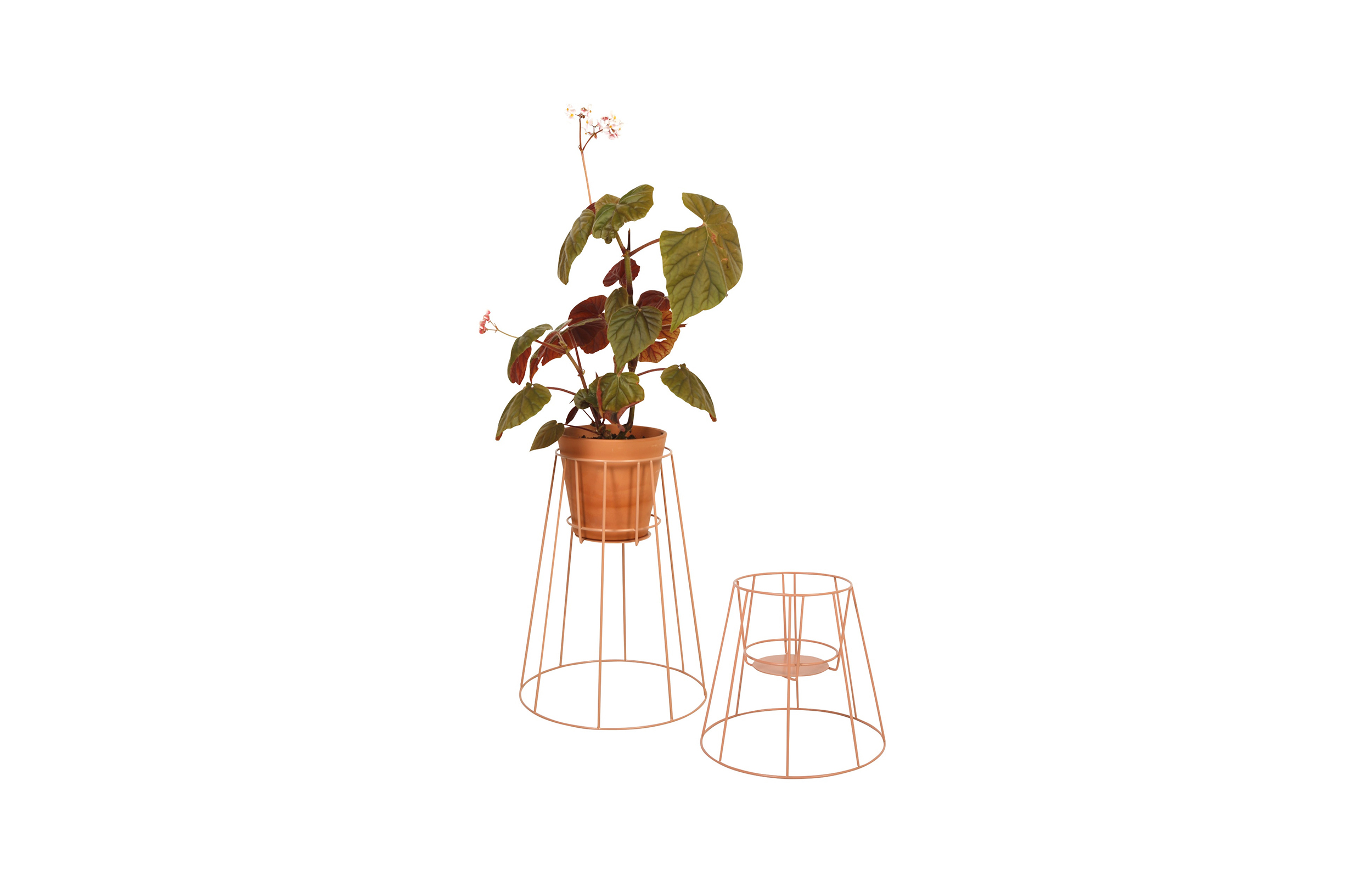 开云手机入口 - 附件|花器|办公家具|开云中国家具|西布莉植物架