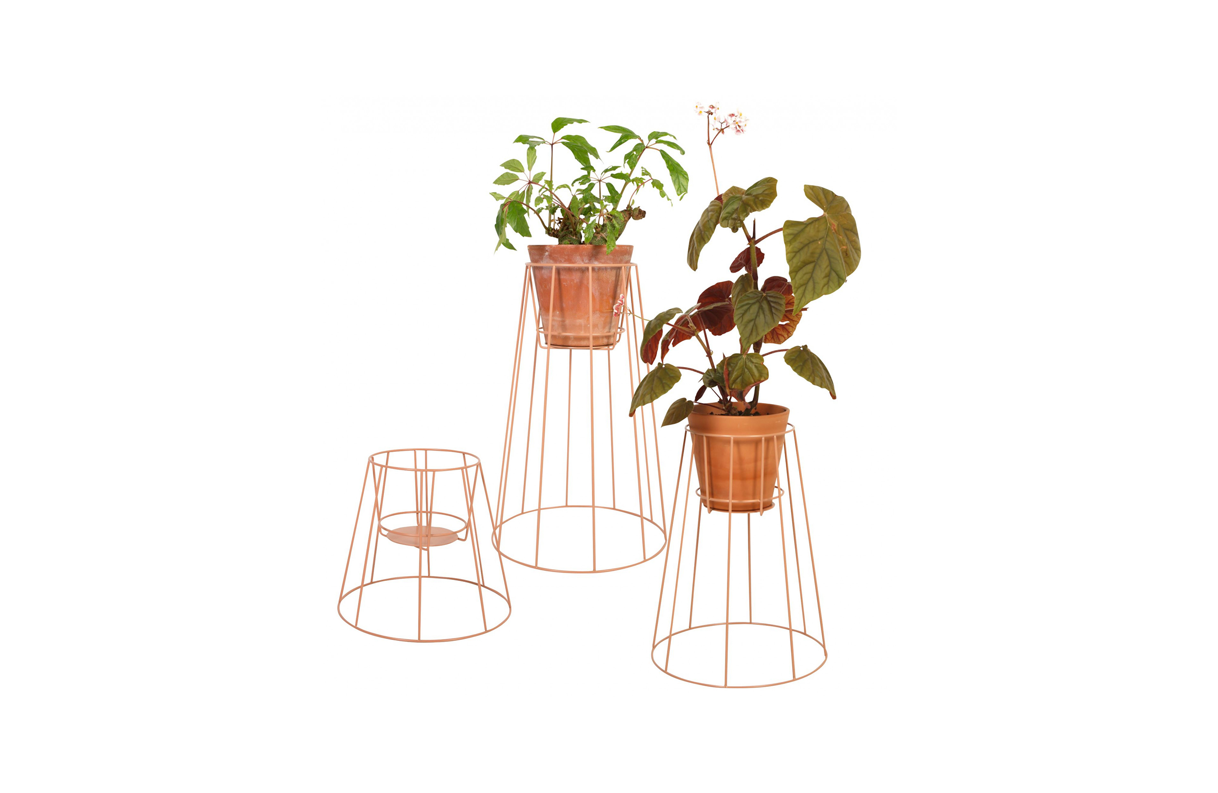开云手机入口 - 附件|花器|办公家具|开云中国家具|西布莉植物架