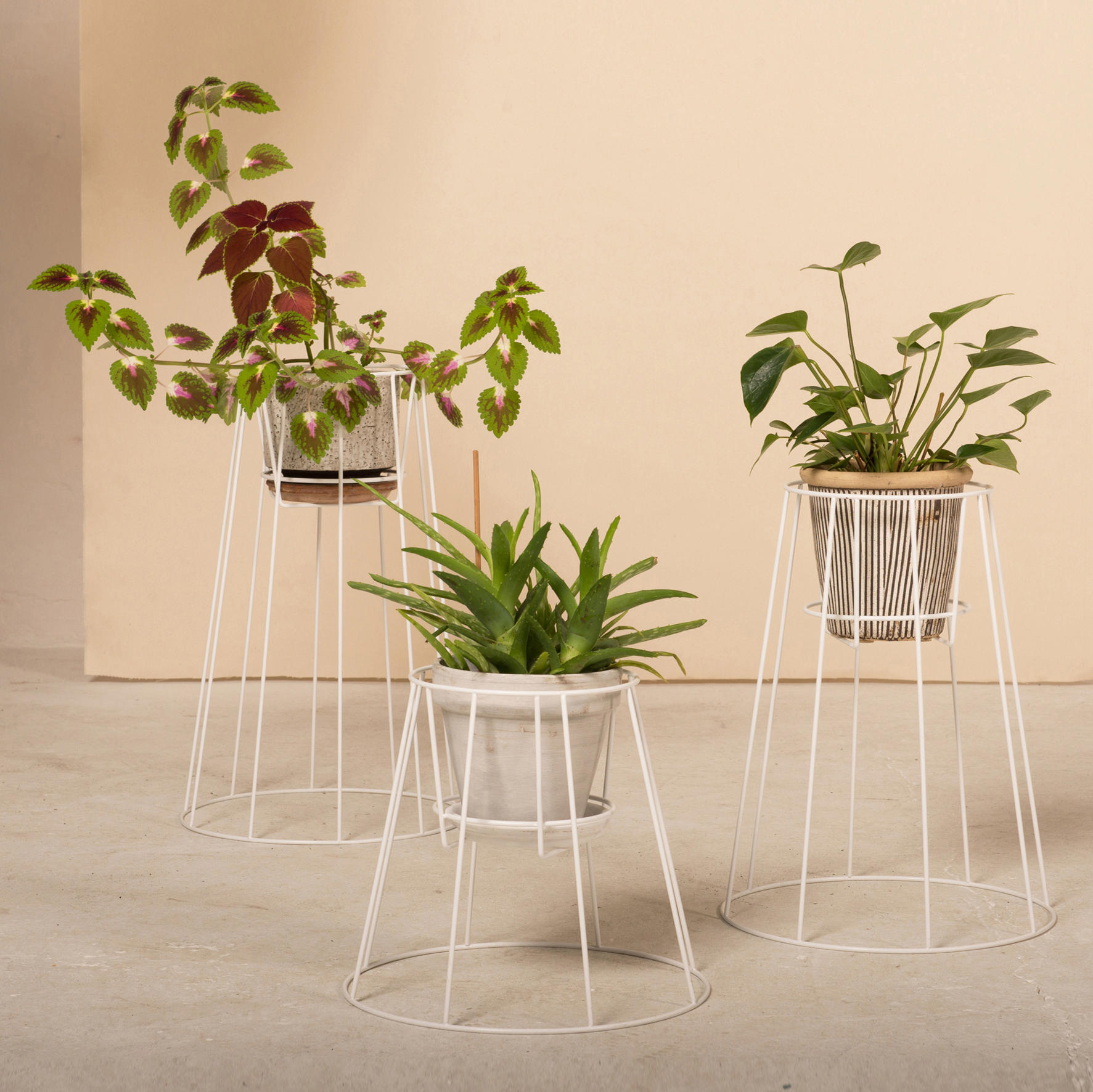开云手机入口 - 附件|花器|办公家具|开云中国家具|西布莉植物架