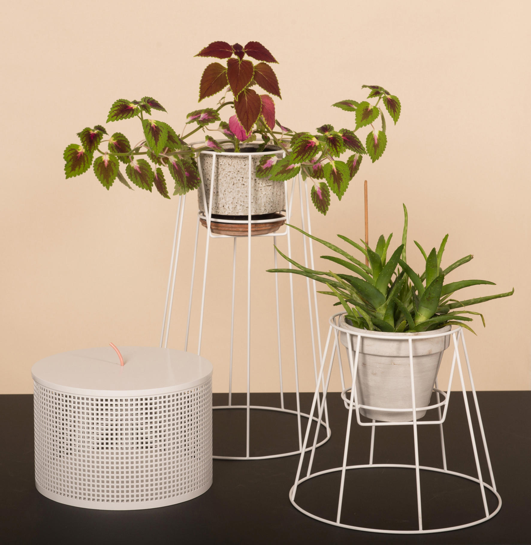 开云手机入口 - 附件|花器|办公家具|开云中国家具|西布莉植物架