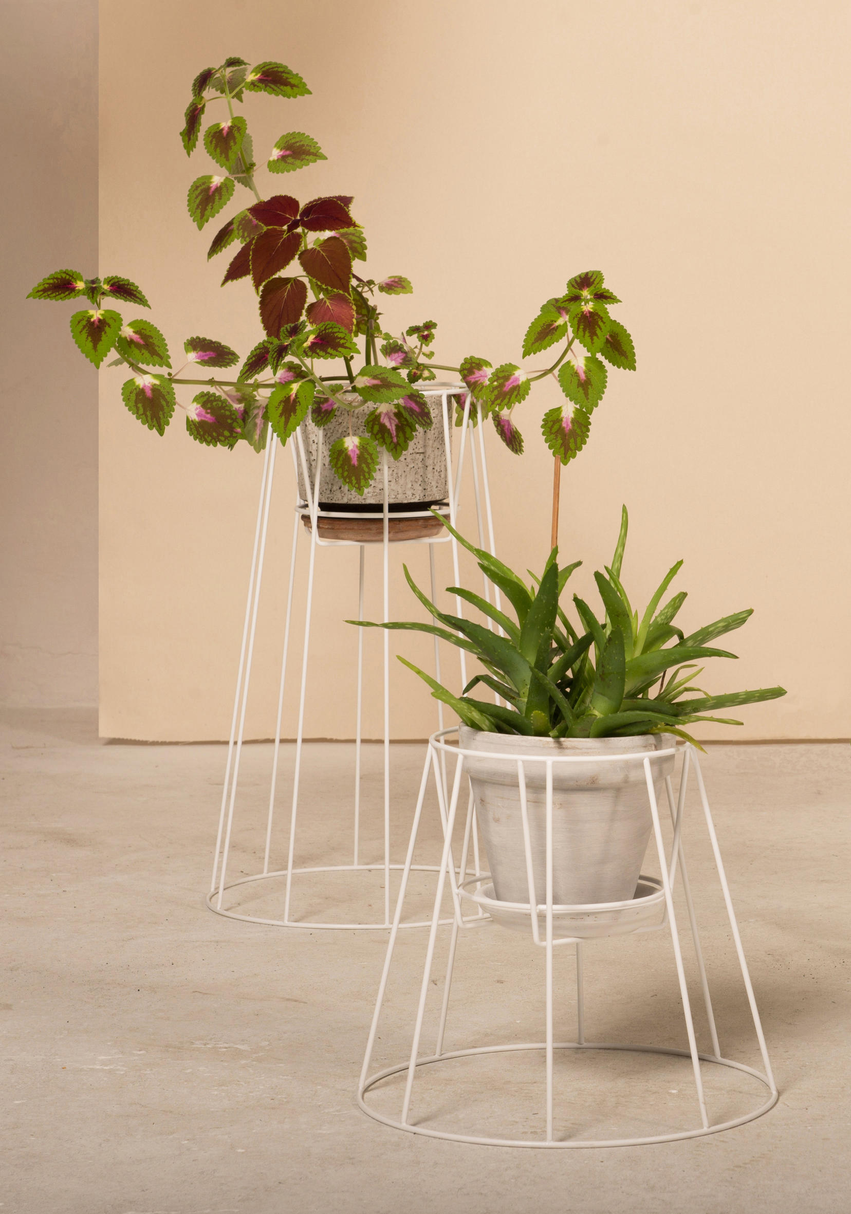 开云手机入口 - 附件|花器|办公家具|开云中国家具|西布莉植物架