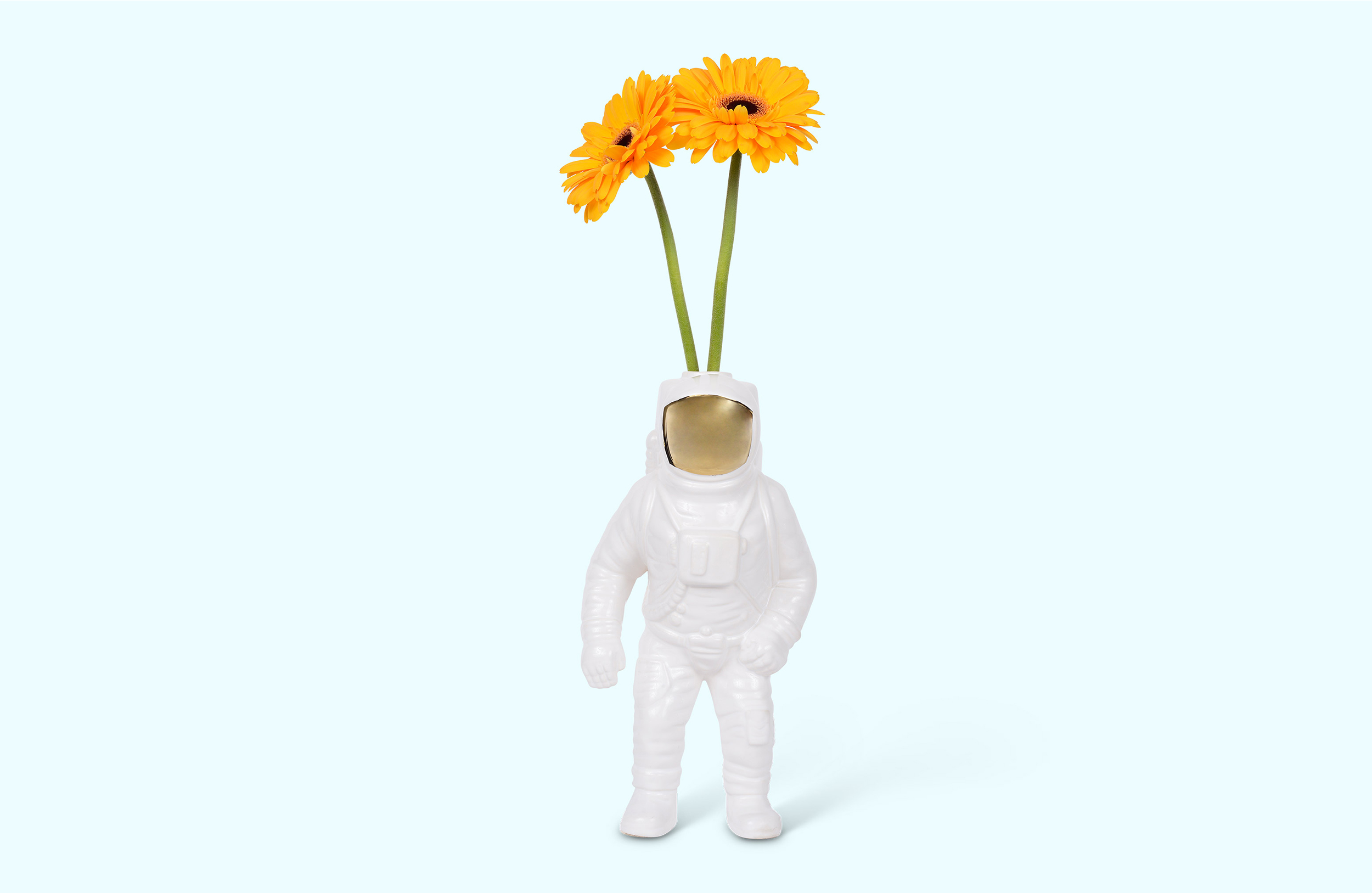 开云手机入口 - 附件|花器|办公家具|开云中国家具|宇航员花瓶