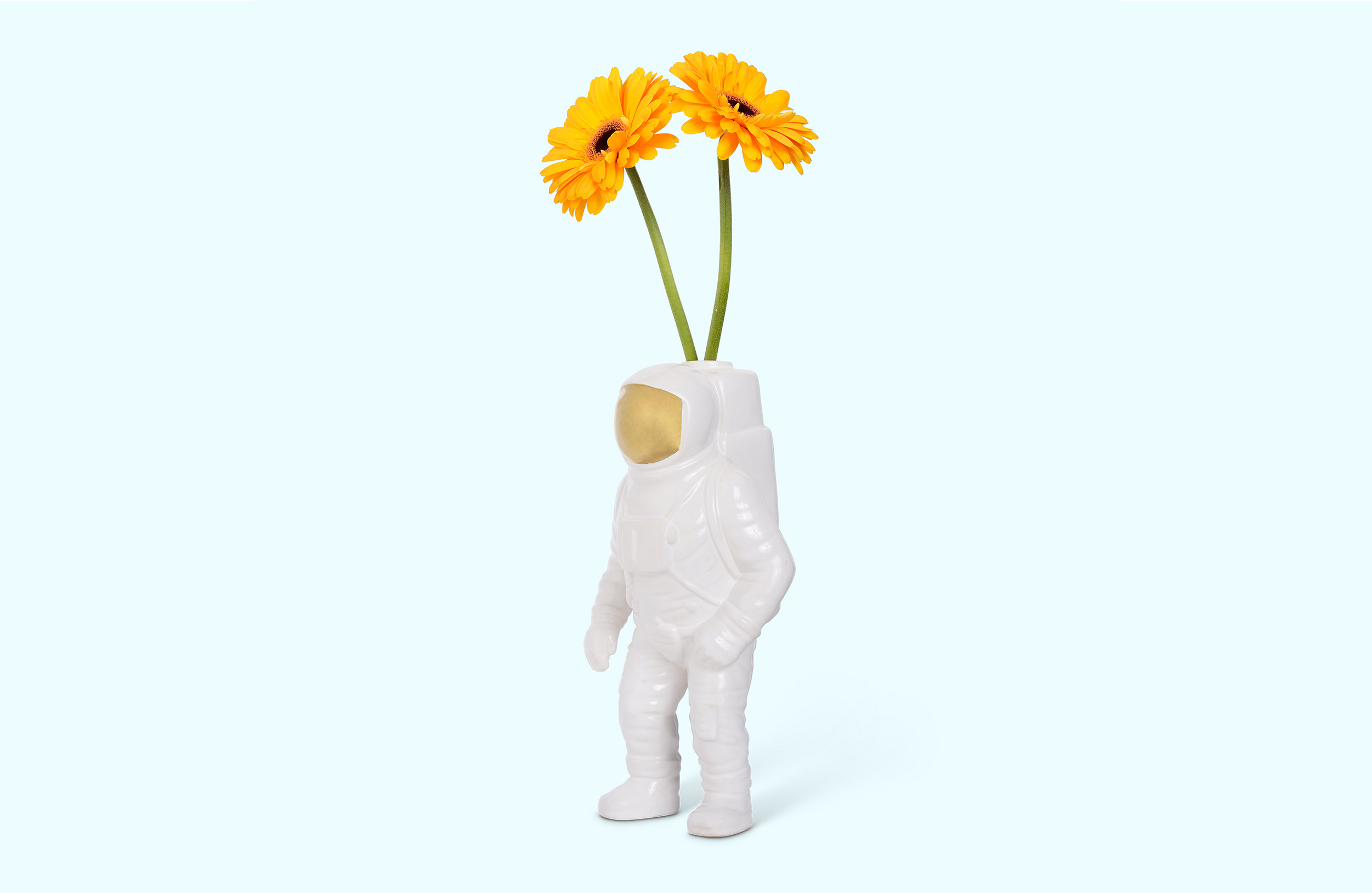 开云手机入口 - 附件|花器|办公家具|开云中国家具|宇航员花瓶