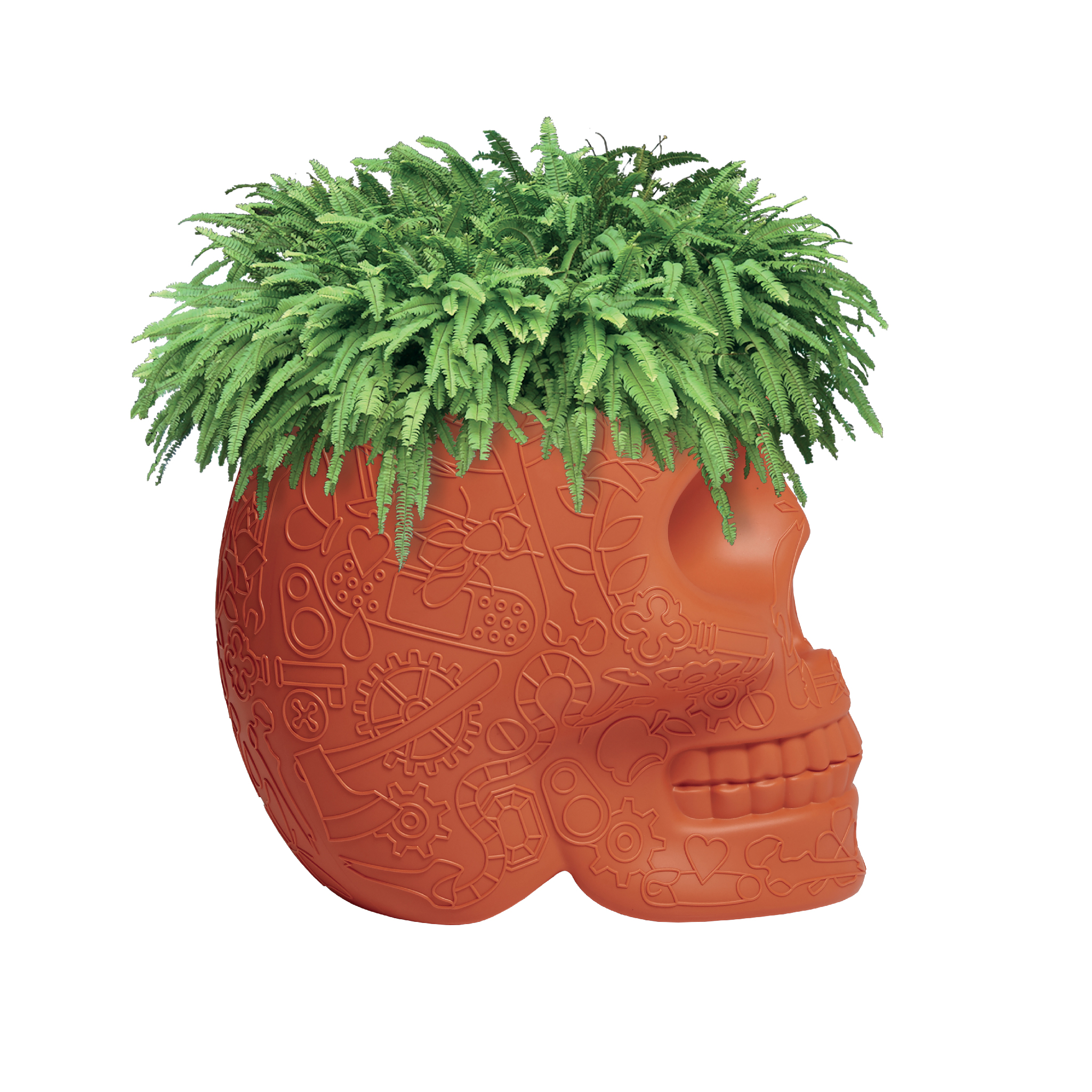 开云手机入口 - 附件|花器|办公家具|开云中国家具|墨西哥花盆
