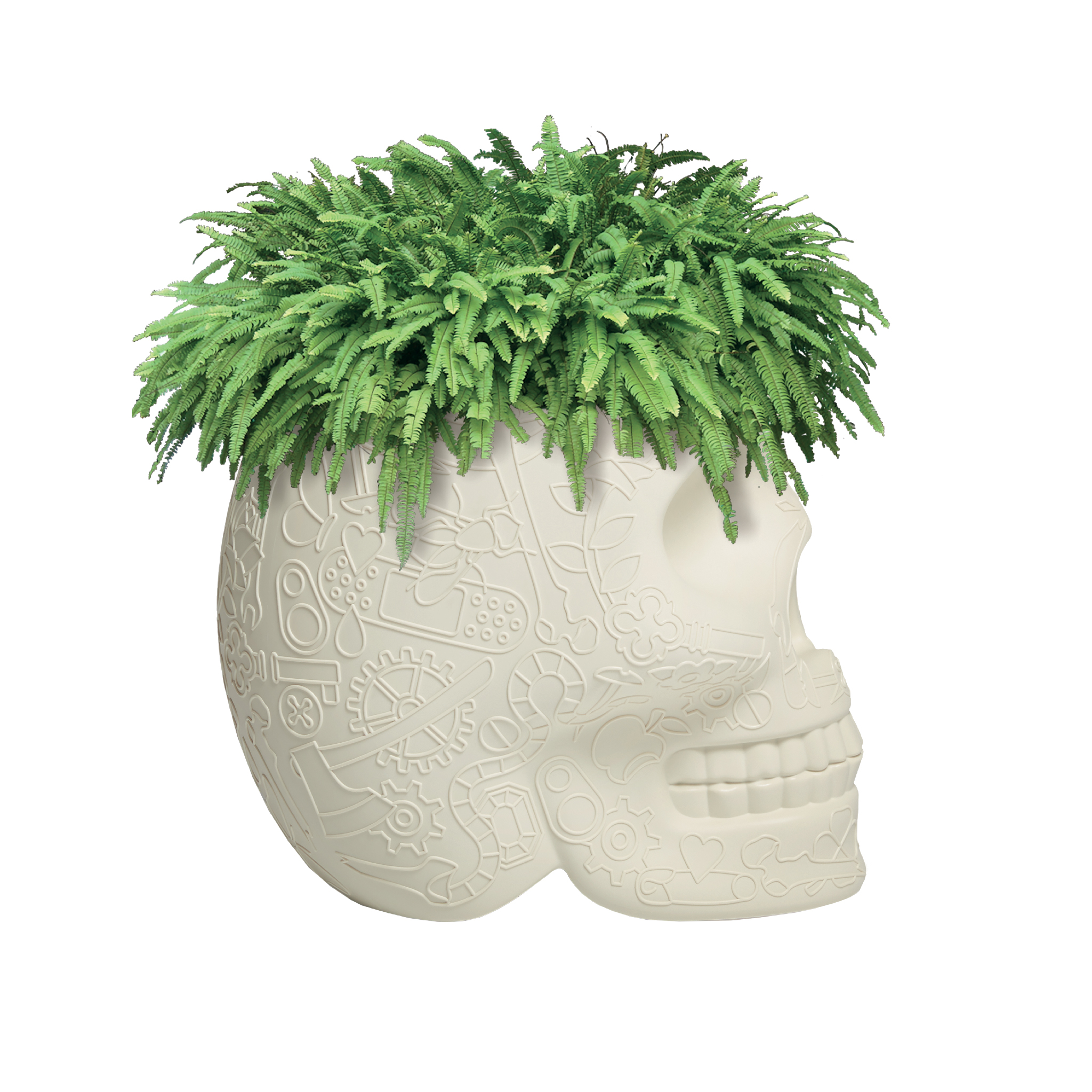 开云手机入口 - 附件|花器|办公家具|开云中国家具|墨西哥花盆