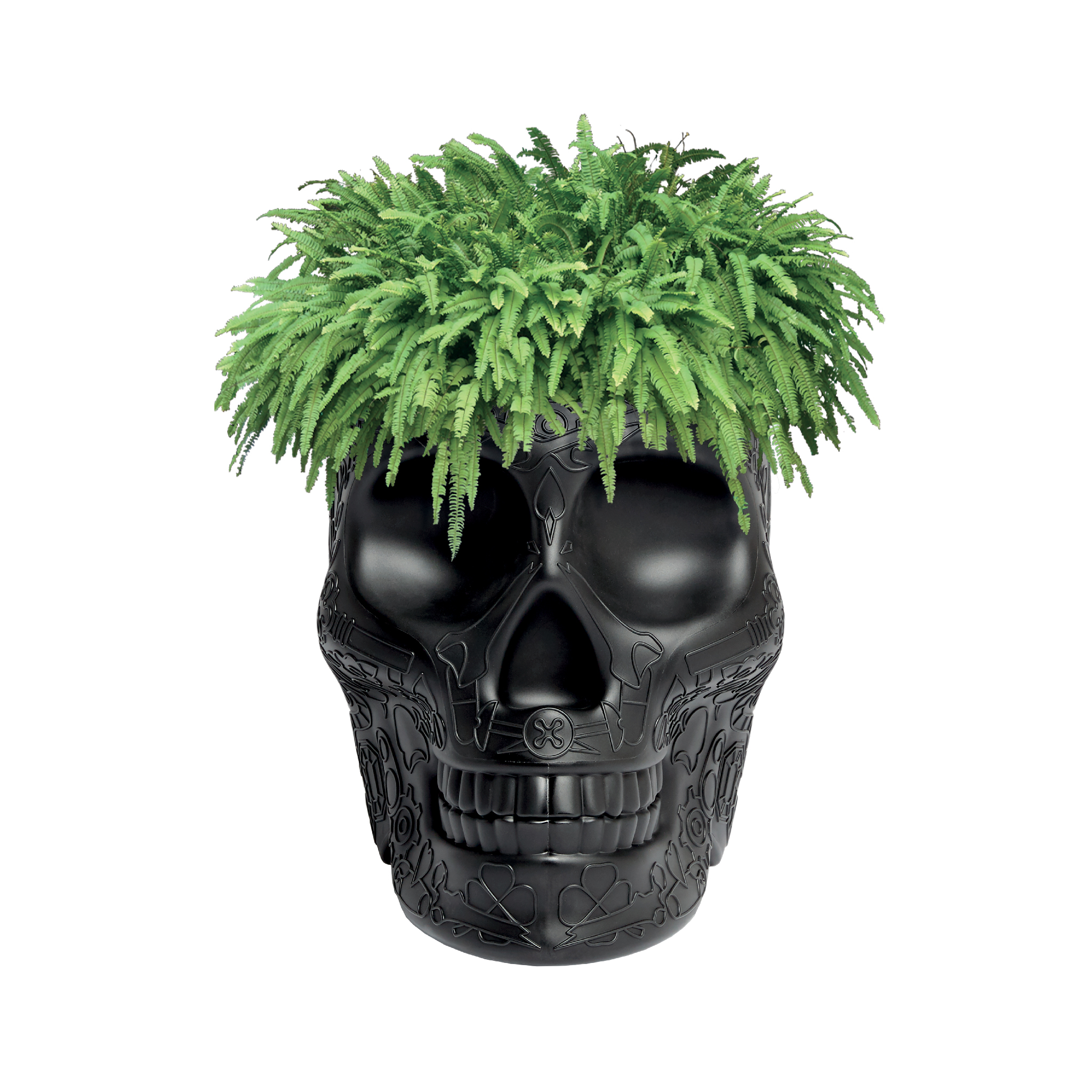 开云手机入口 - 附件|花器|办公家具|开云中国家具|墨西哥花盆