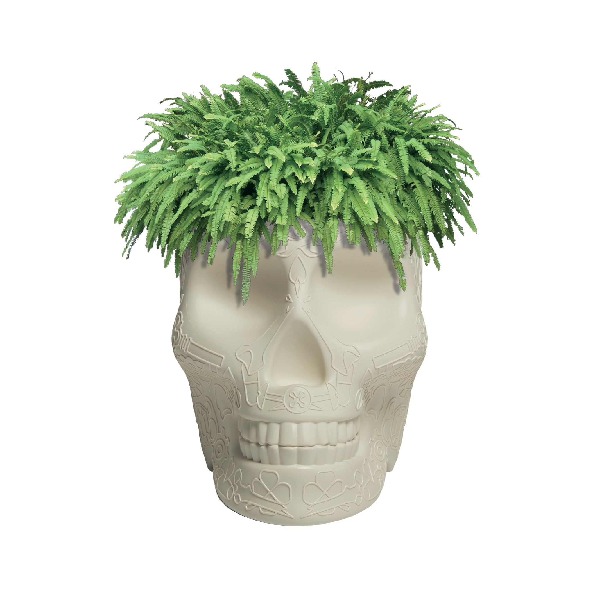 开云手机入口 - 附件|花器|办公家具|开云中国家具|墨西哥花盆