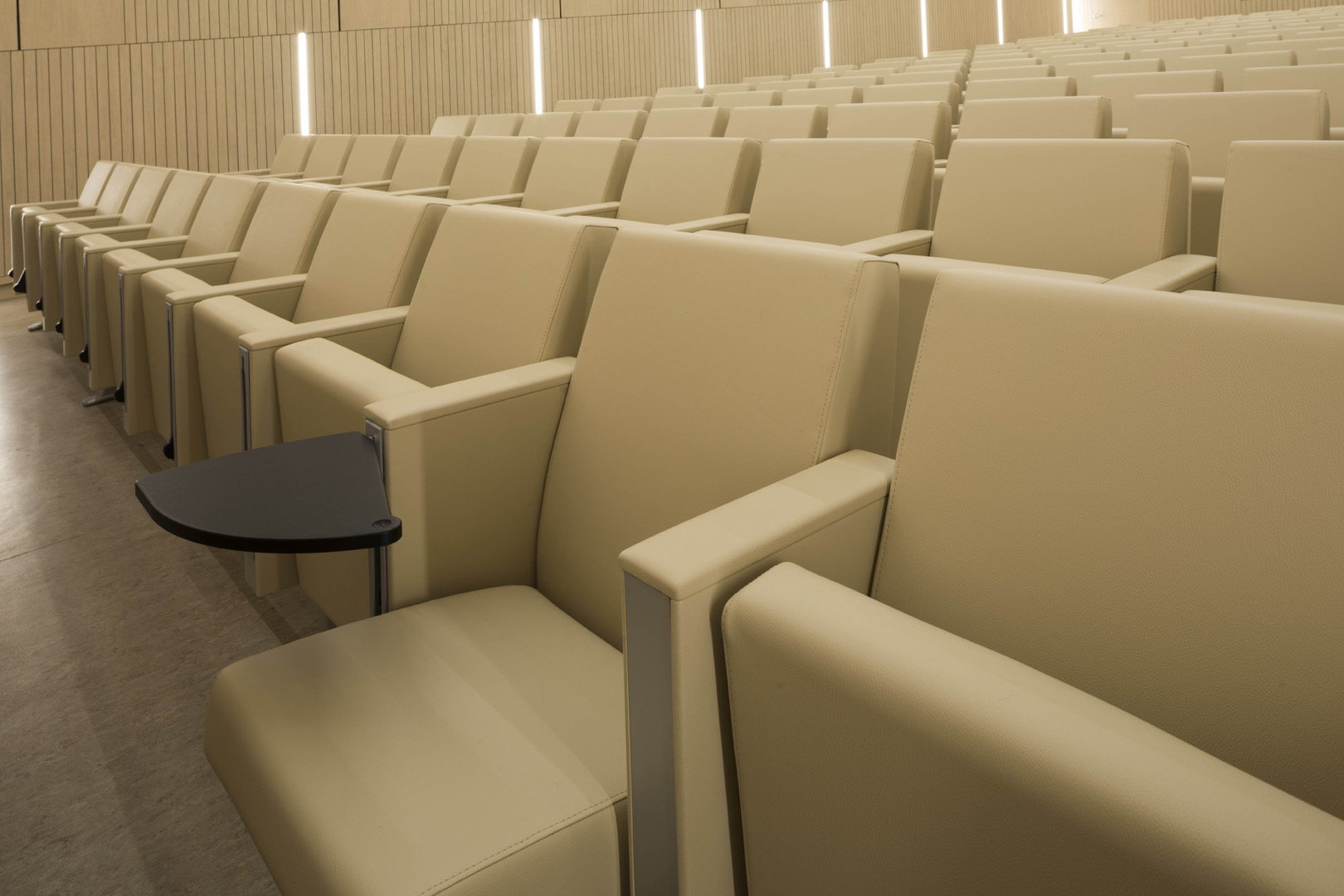 公共座椅|礼堂椅|办公家具|开云中国家具|C100 剧院/礼堂椅