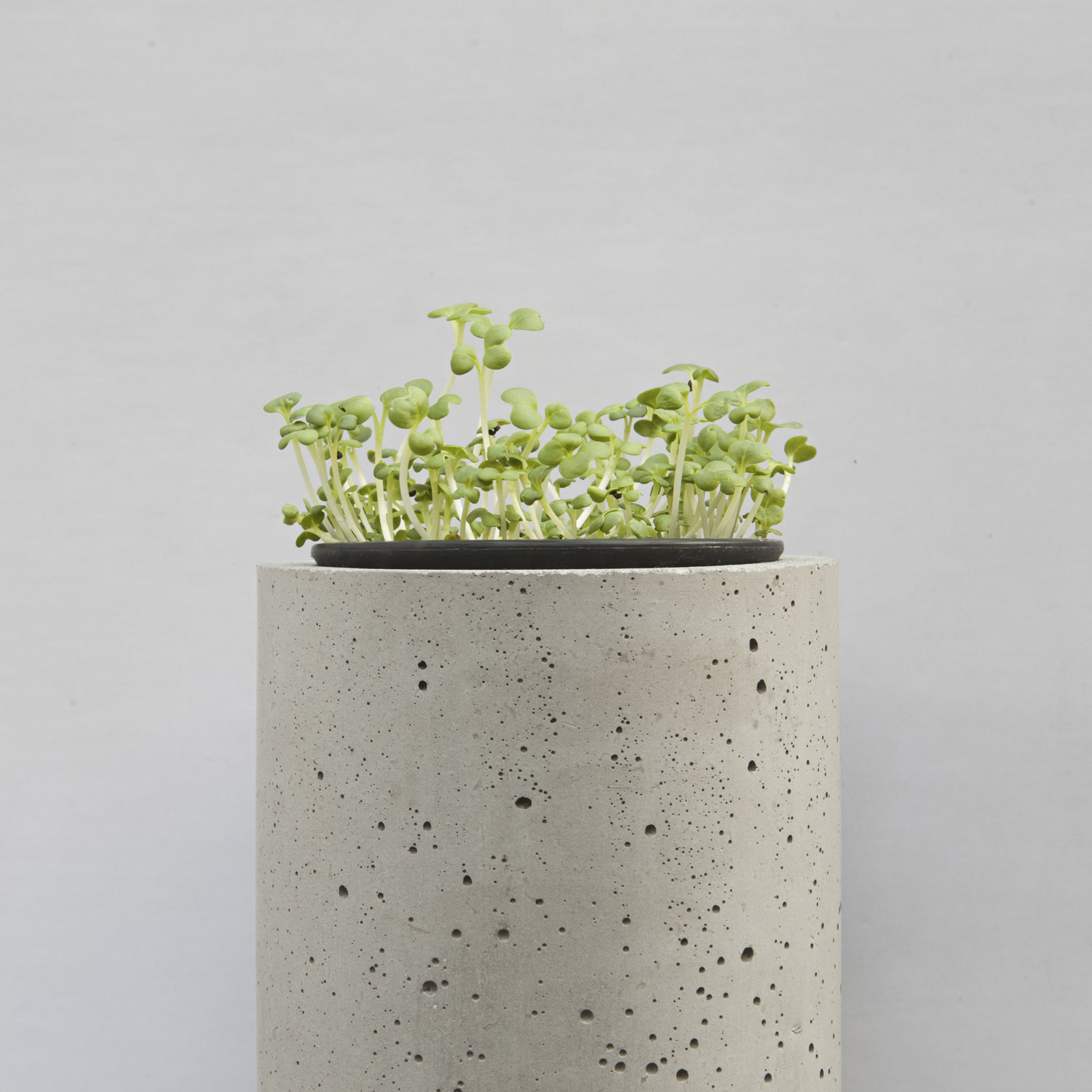 开云手机入口 - 附件|花器|办公家具|开云中国家具|挂墙式花钵-杯