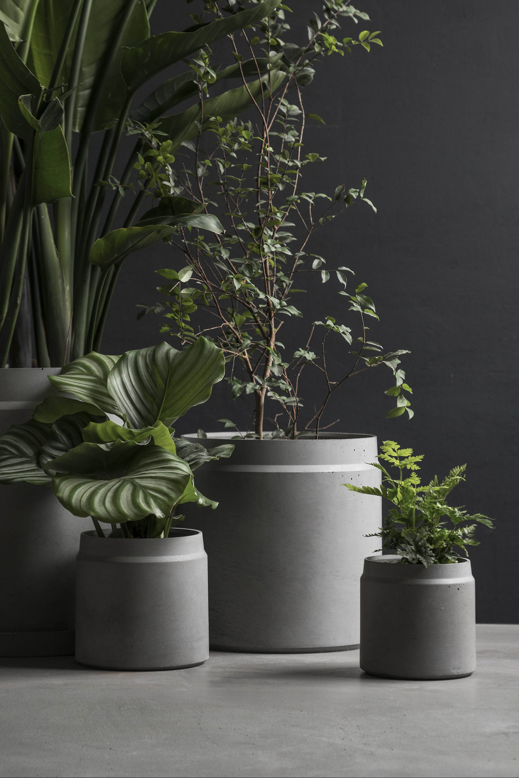 开云手机入口 - 附件|花器|办公家具|开云中国家具|花钵-圆