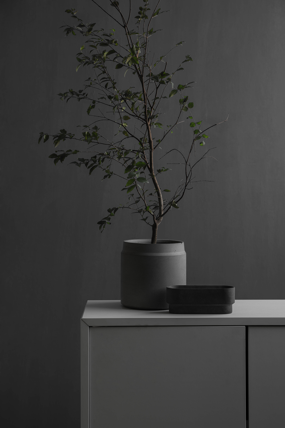 开云手机入口 - 附件|花器|办公家具|开云中国家具|花钵-圆
